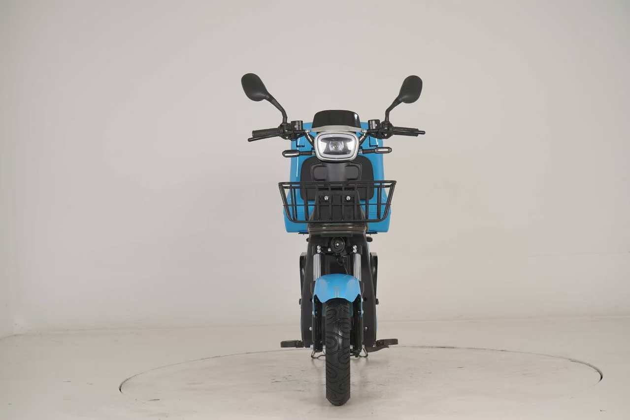 Cargo Rider ES250